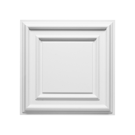 Orac Deckenplatte F 30 60 x 60 x 4,0 cm (Luxxus)